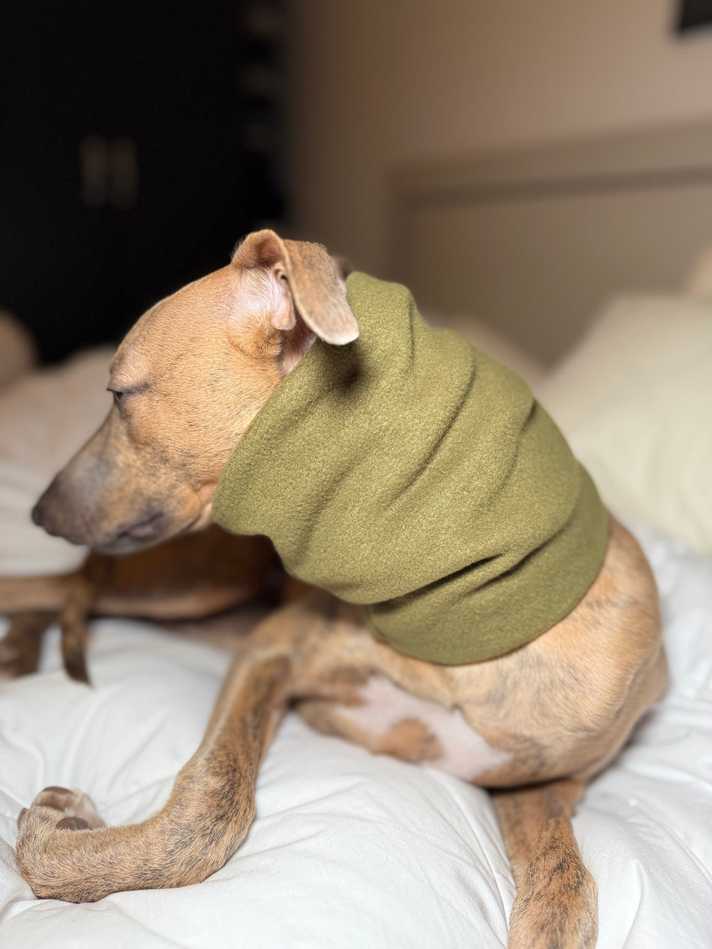The Me & Mini Matching Set (for sighthounds)