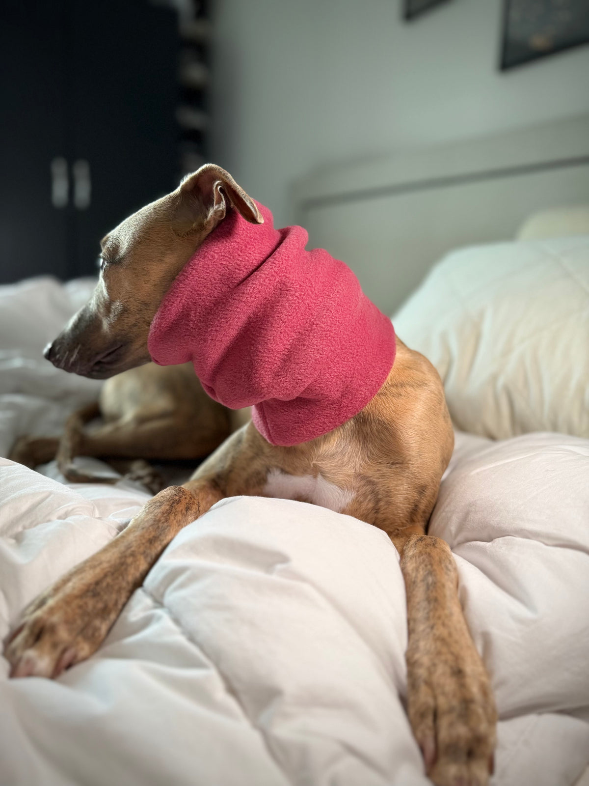 Dog Fleece Snood