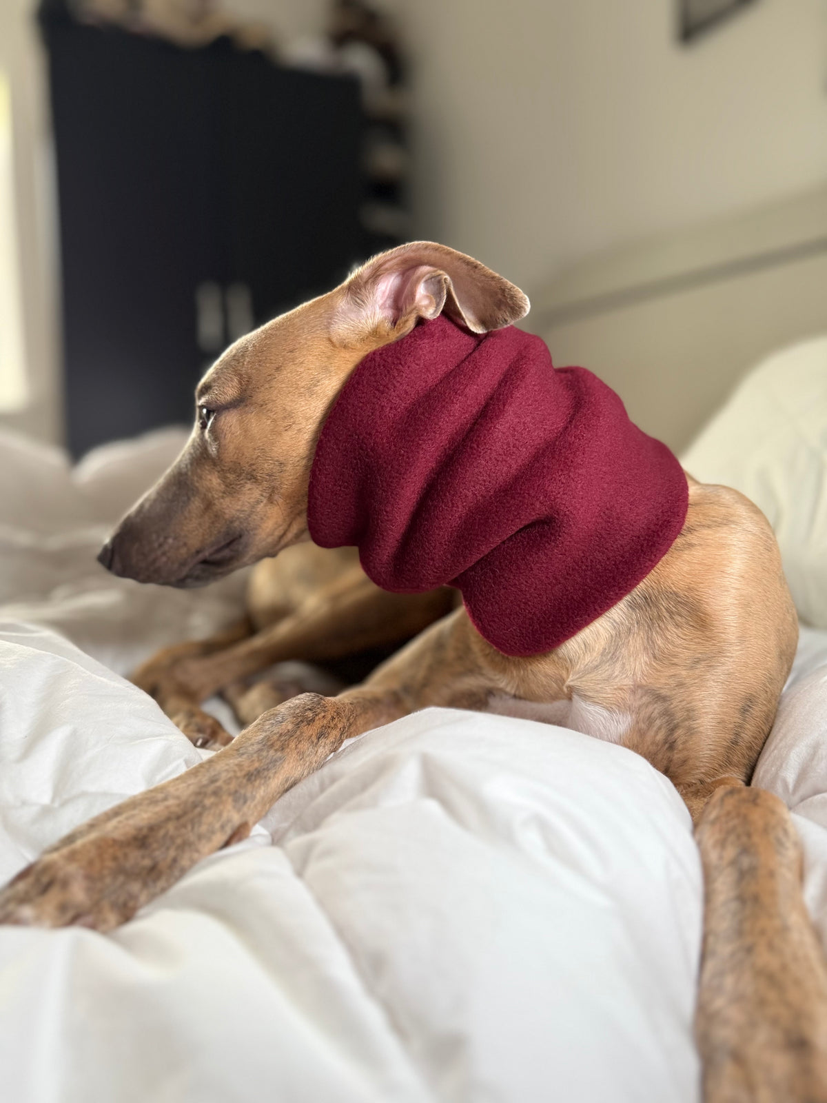 Dog Fleece Snood